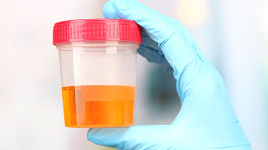 TDS Water Test Explained: Why It’s Misleading for Water Quality