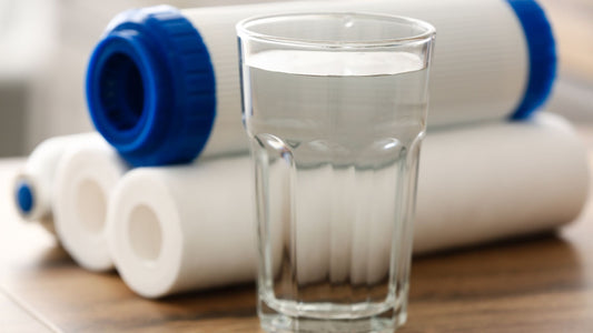 Water Jug Filters: How To Choose The Best One For Your Home