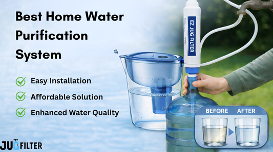 Choose the Best Water Purification System for Your House – EZ Jug Filter