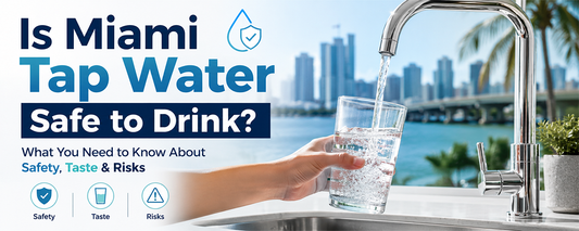 Is Miami Tap Water Safe to Drink? Water Quality, Taste, and Filtration Options