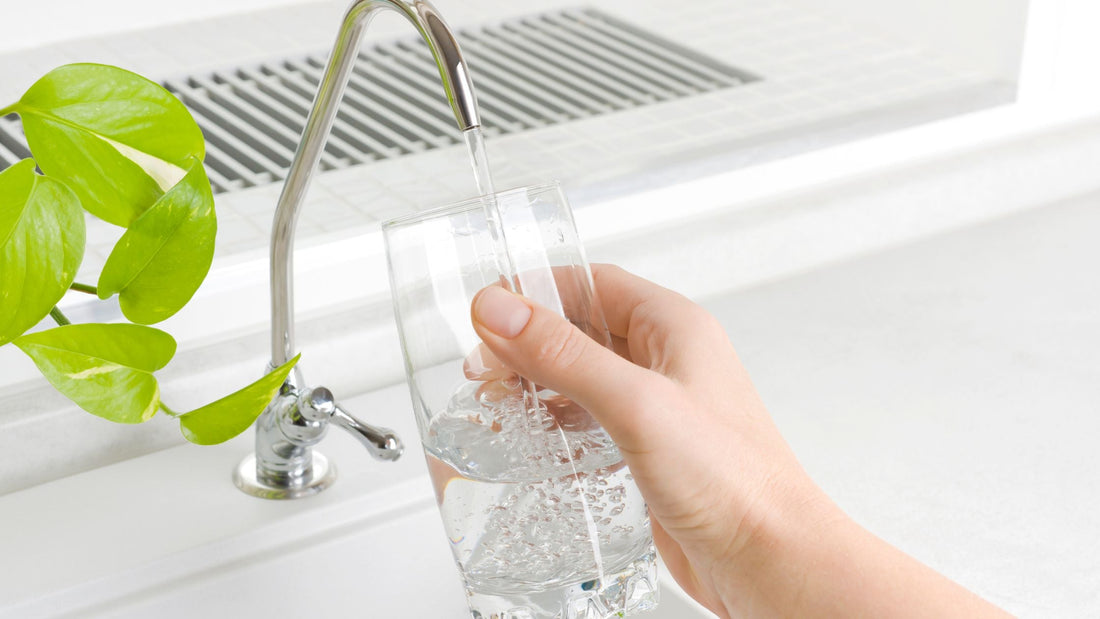 The Best Water Purifier for Renters (Under $60)