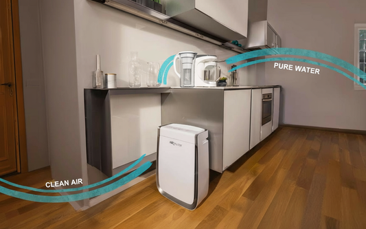 The Essentials for Healthy Living: Clean Air and Pure Water